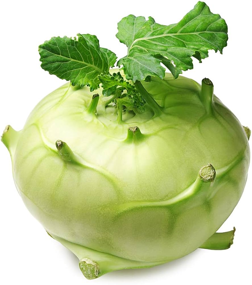 Kohlrabi - Brassica for planting in home garden